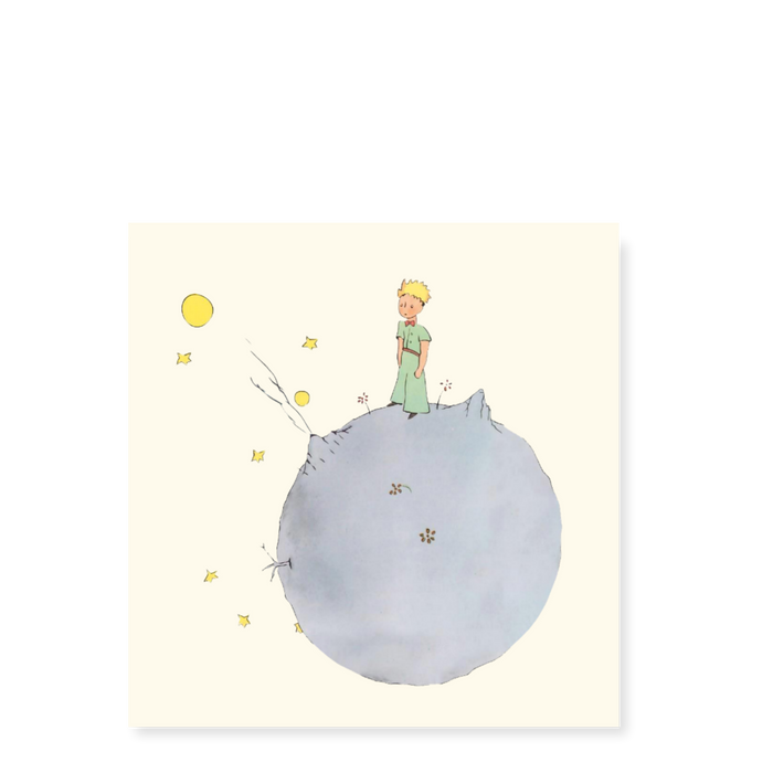 6 x Den lille prinsen på Asteroide B612